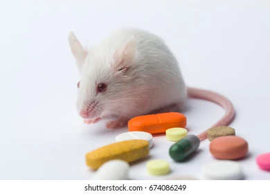 mouseWithPills